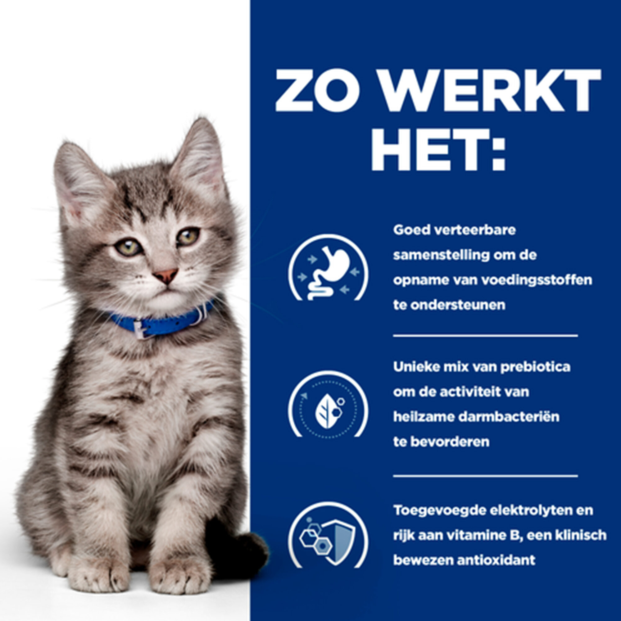 Hill's i/d Digestive Care - Prescription Diet - Kitten