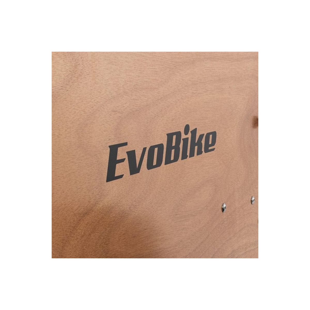 EvoBike Cargo Duo Box