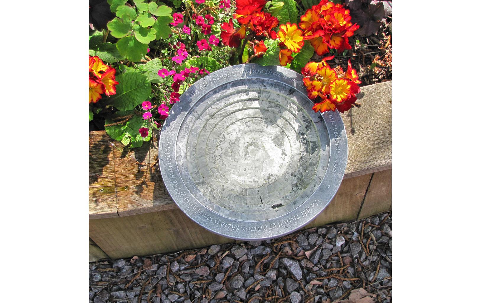 Vogeltränke Oasis 30 x 30 x 5.5 cmWasserstelle für Wildtiere