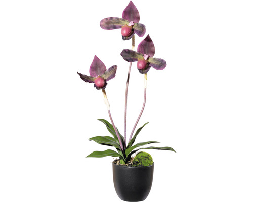 Kunstorchideeënplant, hoogte: 45 cm, bordeaux