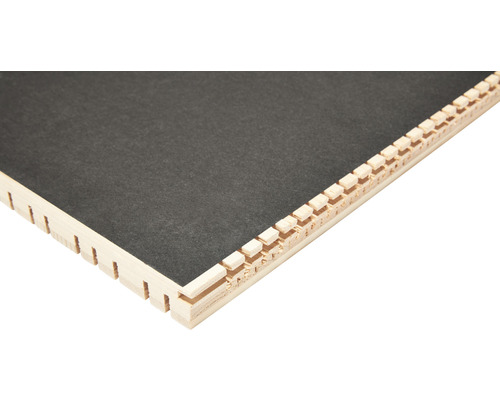 Akoestisch paneel LIGNO® wit geprepareerd, lamelbreedte: onregelmatig 12 - 25 mm, 1455 x 300 x 25 mm