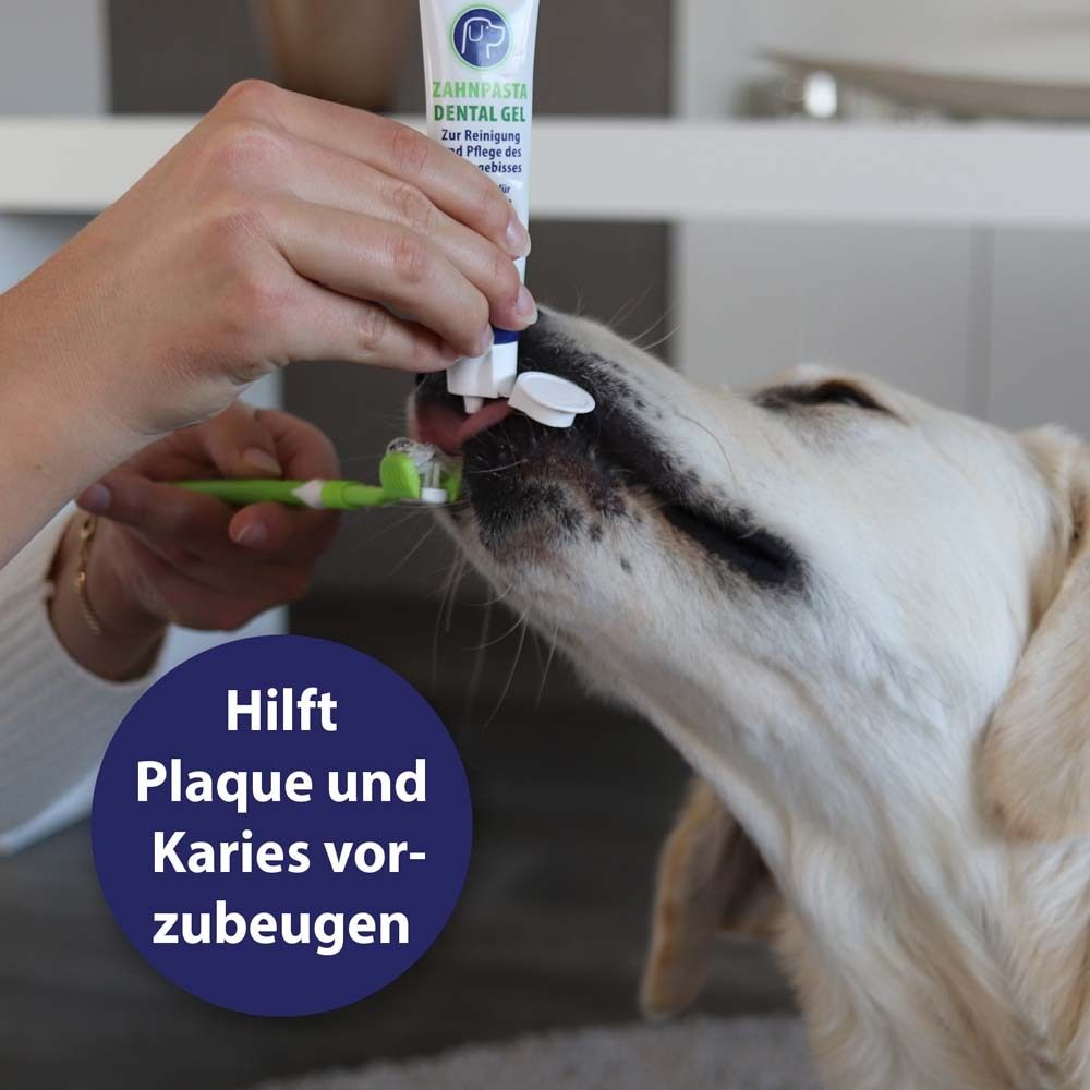 Canosept® Zahnpflege Zahnpasta für Hunde