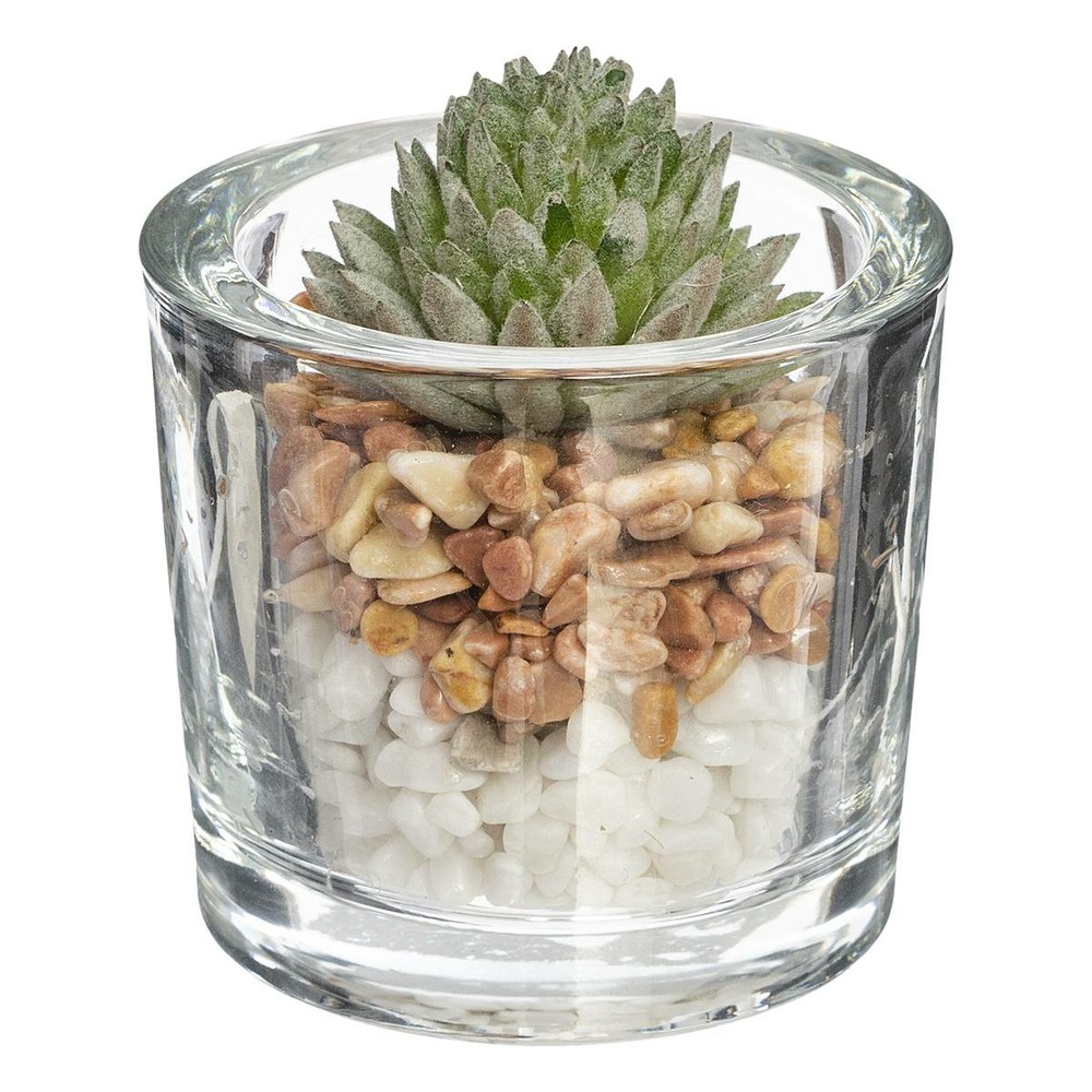 Plante grasse artificielle pot en verre d 6,5 x h 10 cm