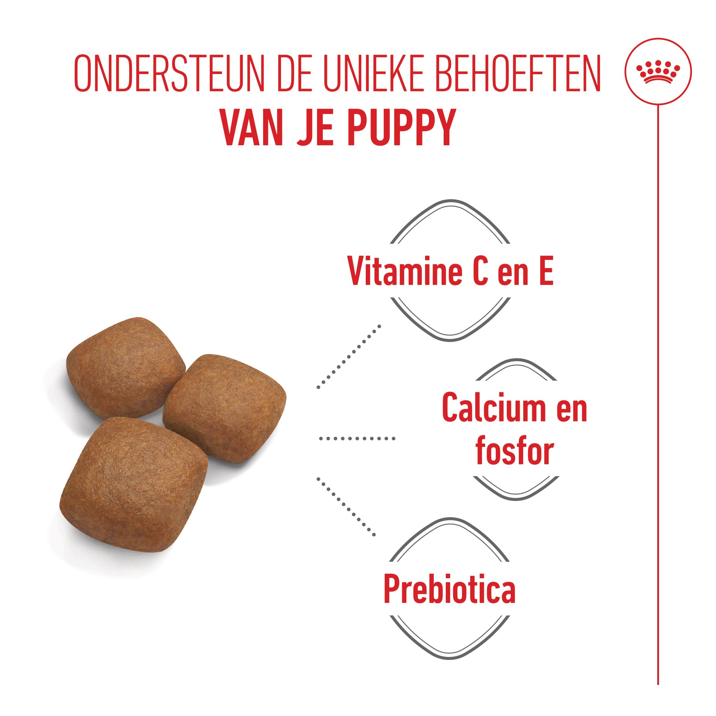 Royal Canin Giant Junior - Hondenvoer