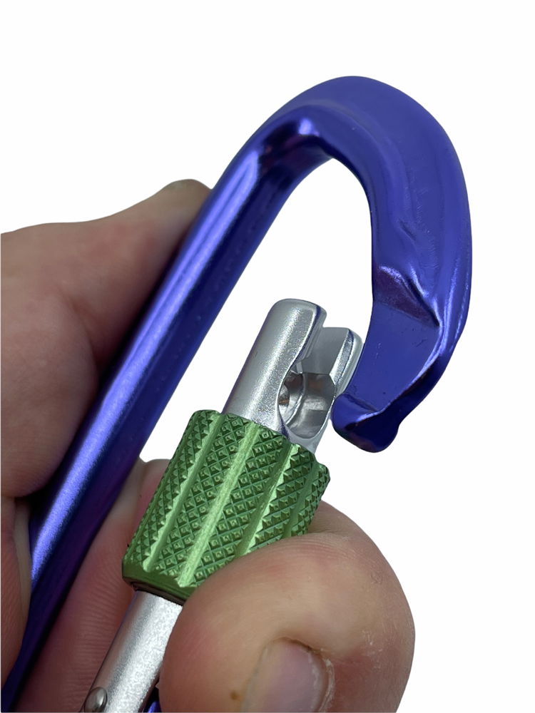 Wild Country Session screw gate