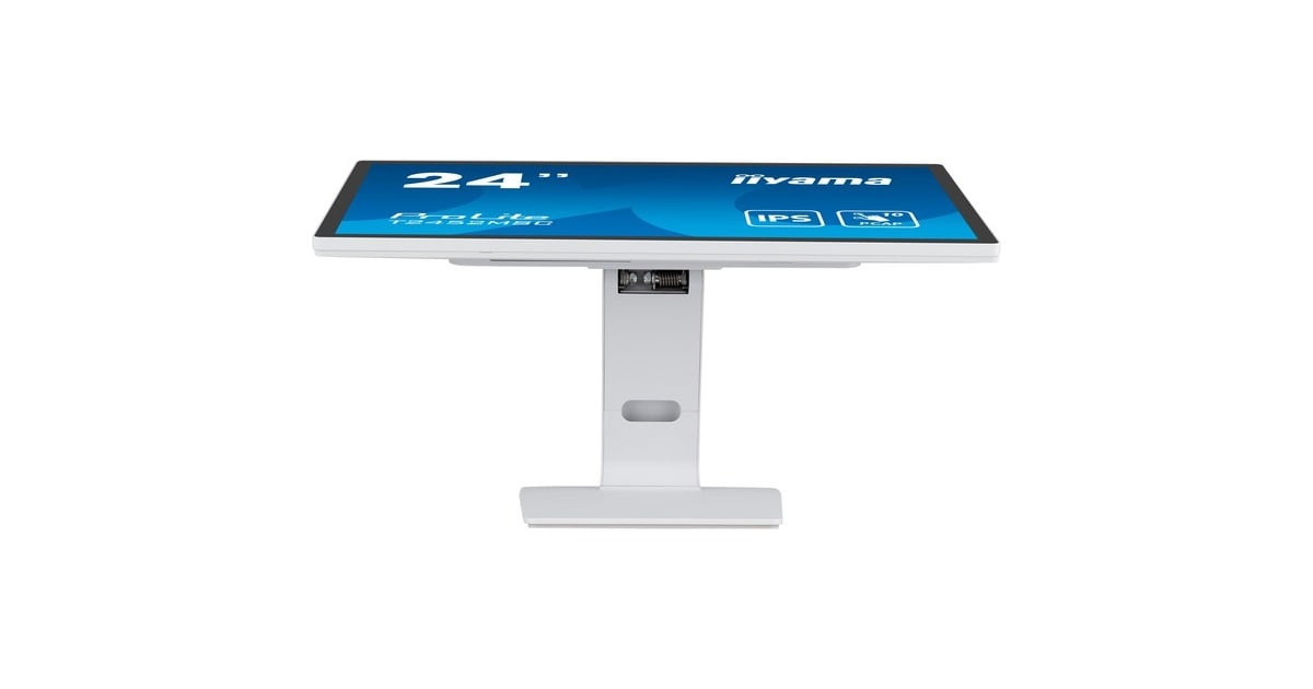 iiyamaProLite T2452MSC-W1 24