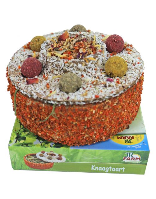 Jr Farm Knaagtaart - Knaagdiersnack - 13.5 x 13.5 x 11 cm 200 g