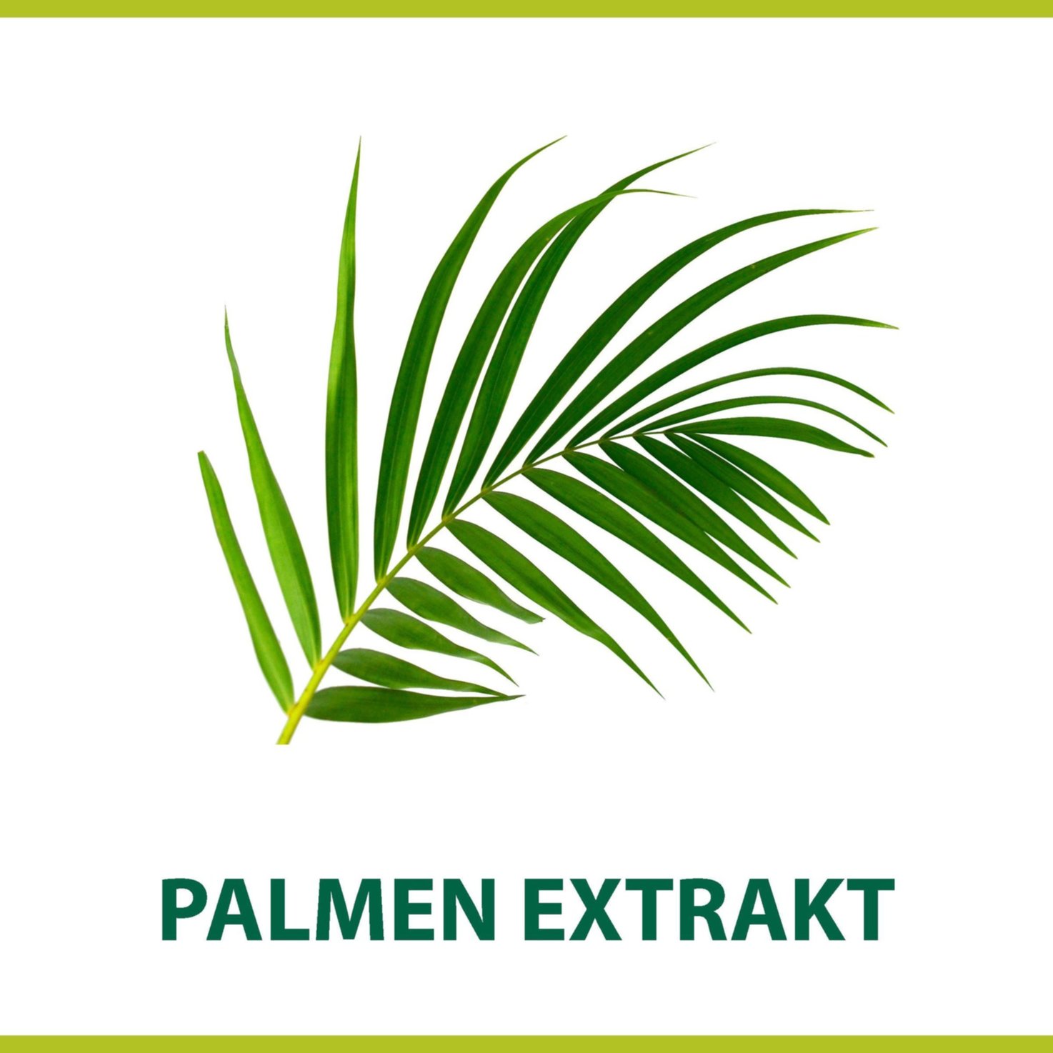 Palmolive Men Rasiercreme Classic