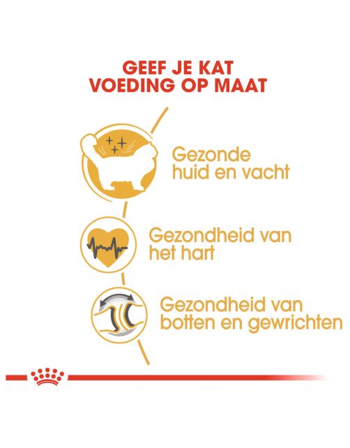 Royal Canin Ragdoll Adult - Kattenvoer