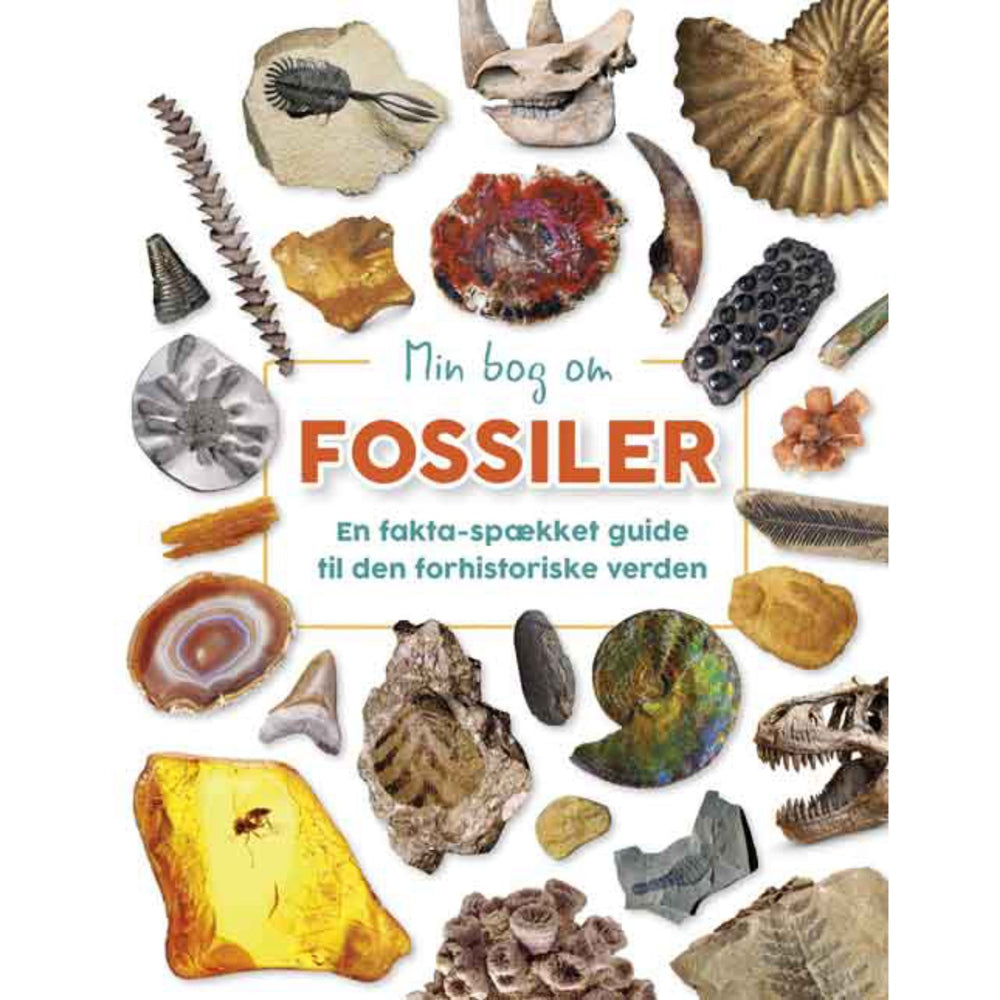 Køb Forlaget Bolden Min Bog Om Fossiler