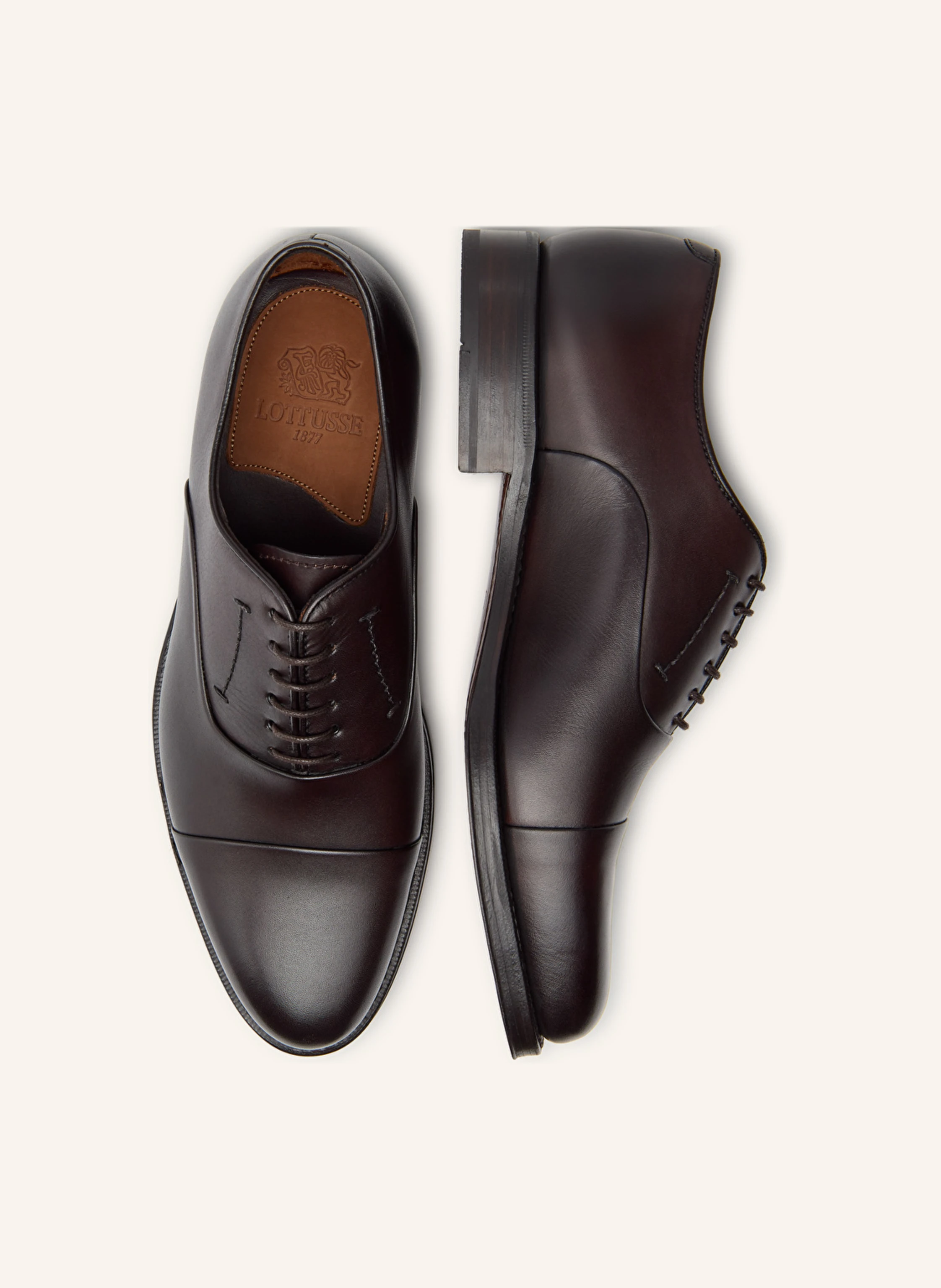 LOTTUSSE Oxford PREMIUM
