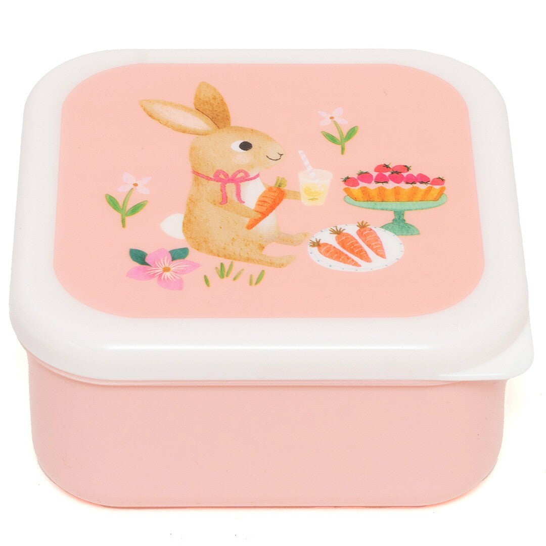 Petit monkey snackdoosjes animals picnic - 3st