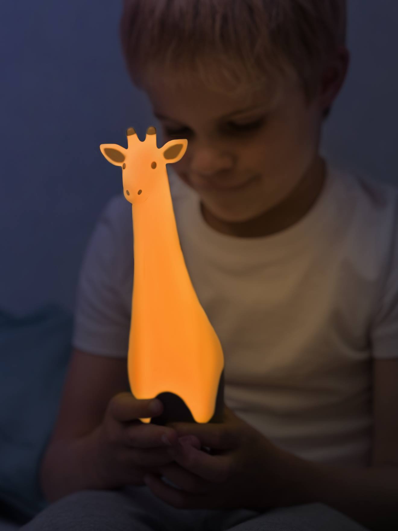 Lanterna noturna Gina, a Girafa