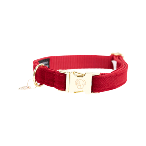 Kentucky Dogwear Corduroy Hondenhalsband