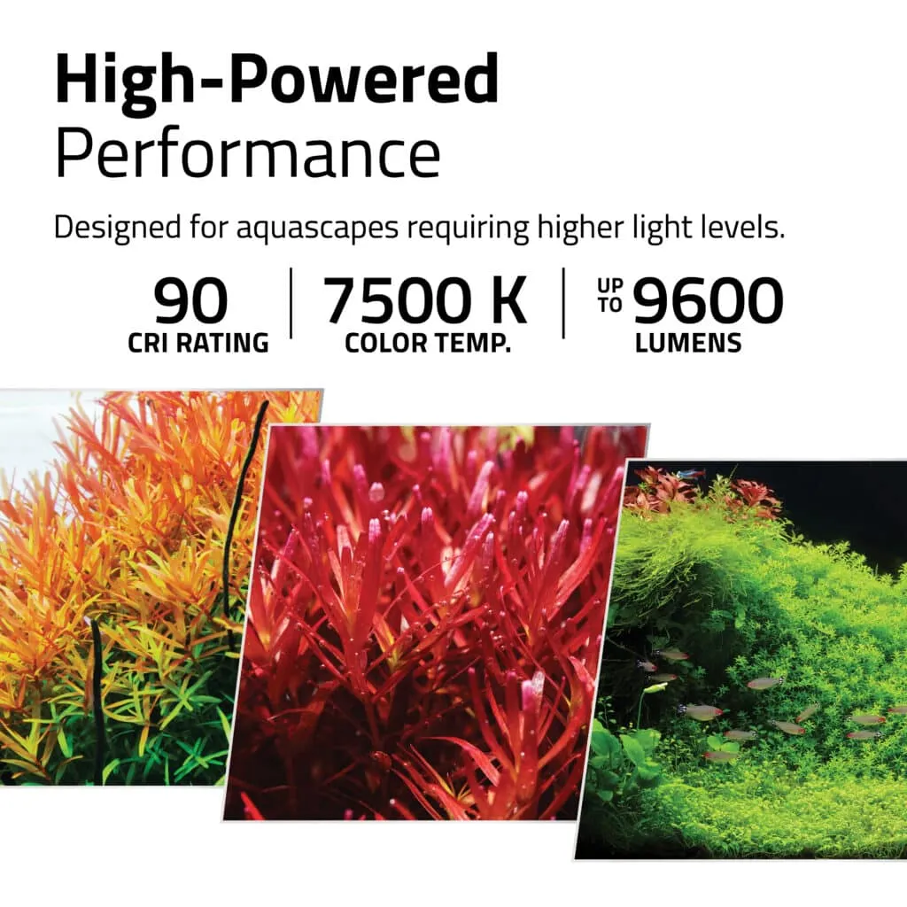 FL Plant Pro 4.0 LED 90W 88-124 cm