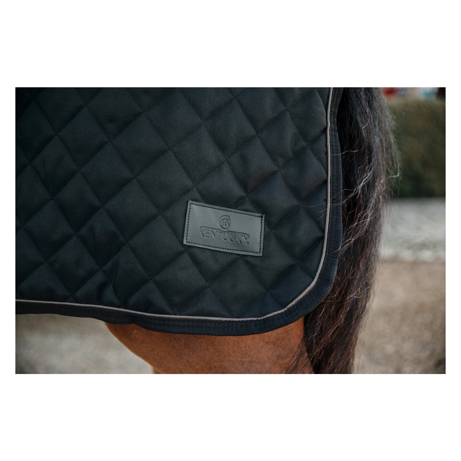 KENTUCKY Ausreitdecke 160 g  - black