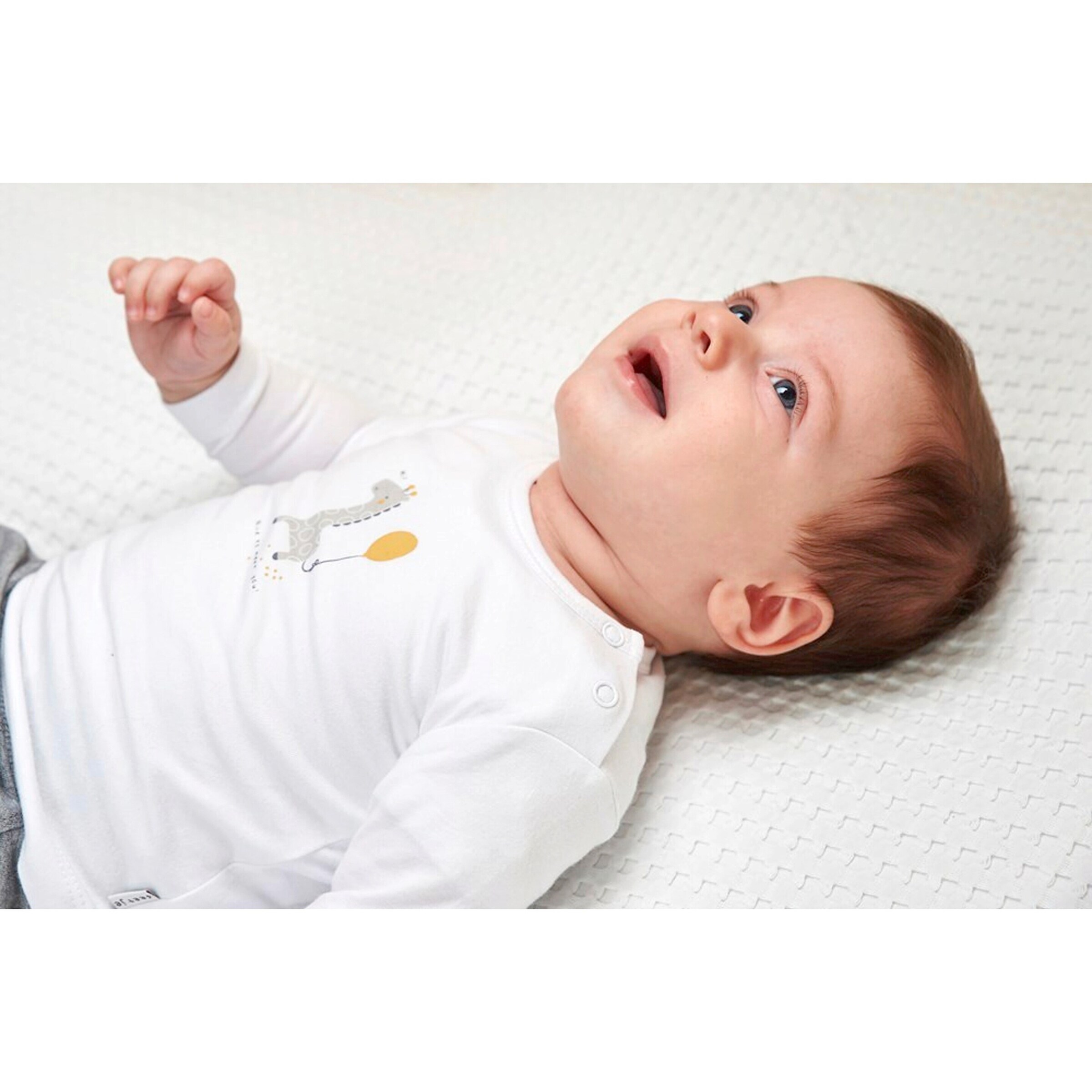 Feetje Shirt langarm Giraffe