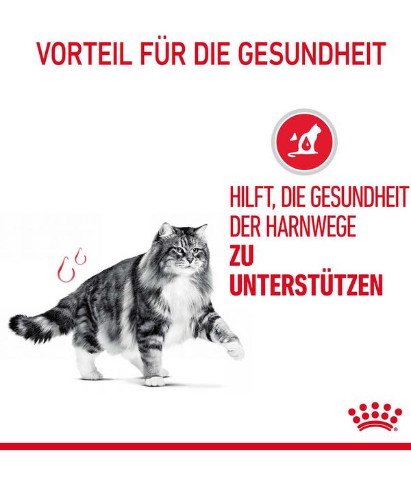 ROYAL CANIN® Trockenfutter für Katzen