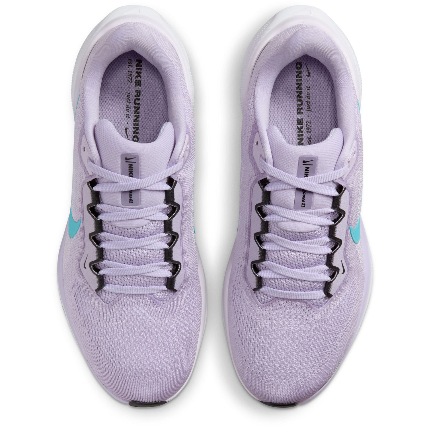 Nike Pegasus 41 Dames