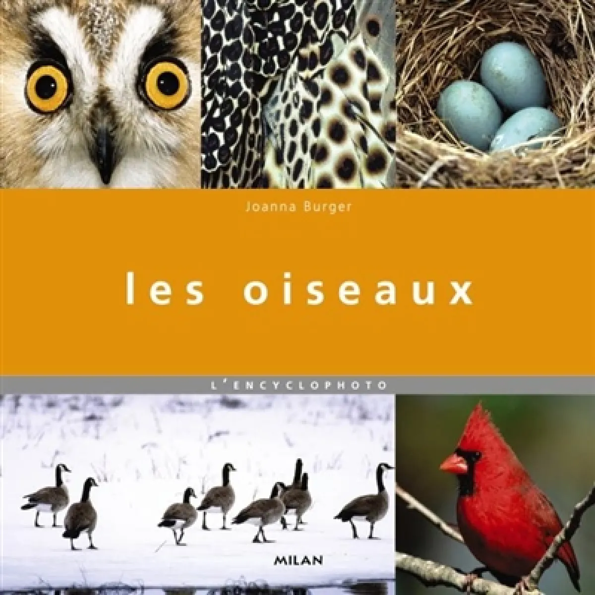 Les oiseaux · Occasion