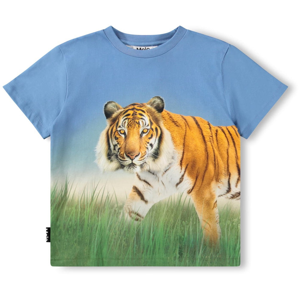 Køb Molo Tiger On Blue Rubin T-Shirt