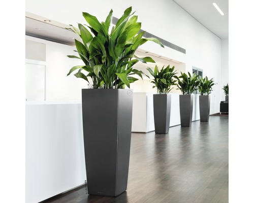 Lechuza Cubico Alto 40 plantenbak complete set H 105 cm antraciet