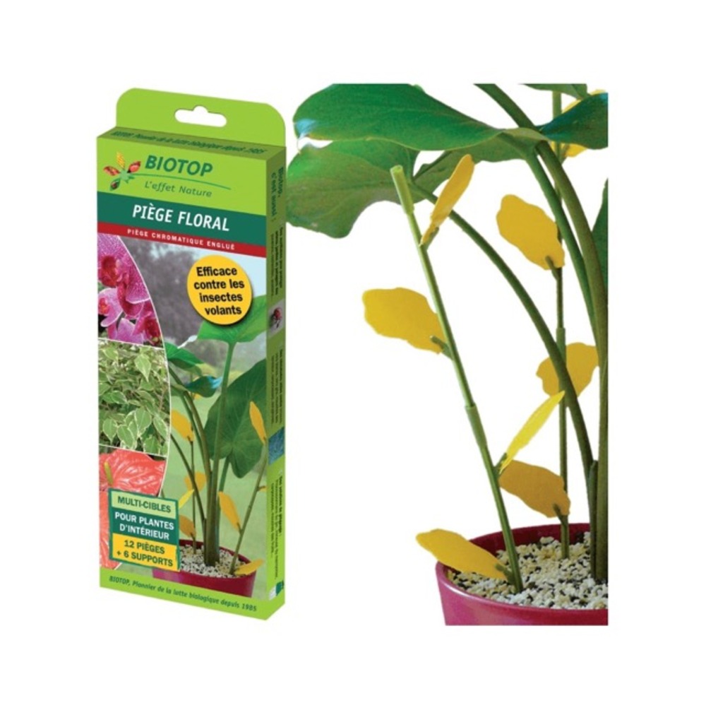 Piège englué floral anti insectes
