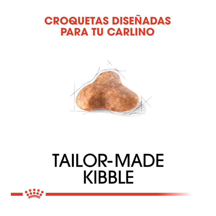 Ração Royal Canin Adult Pug para cães