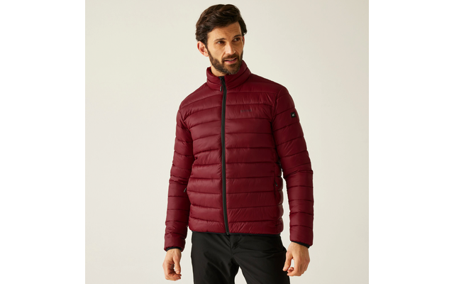 Regatta Marizion Herren Steppjacke