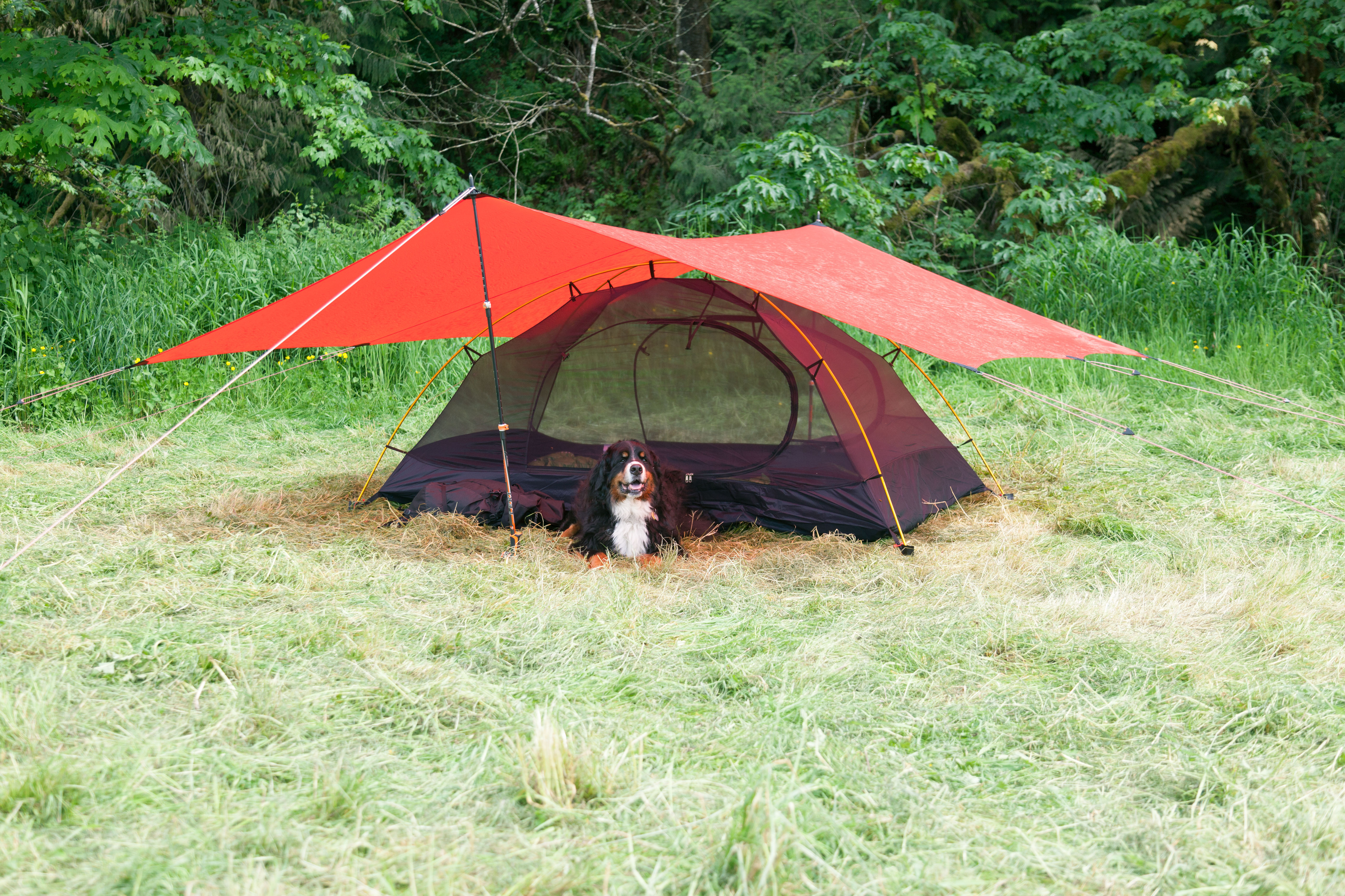 Rogen 3 Mesh Inner Tent