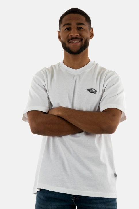 Tee shirt dickies summerdale whx1 white