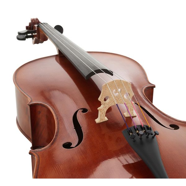 Gewa Maestro 31 Cello 4/4