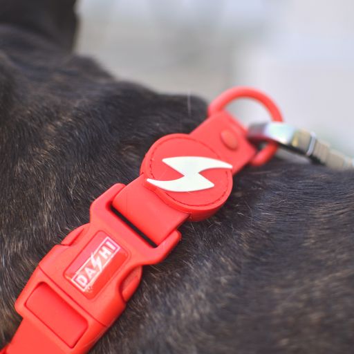 Coleira para cães Dashi Colorflex vermelha em TPU