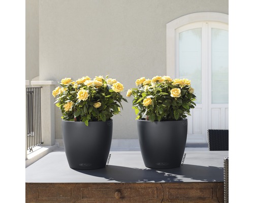 Lechuza Classico Color plantenpot, kunststof, Ø 18 cm, H 17 cm, grijs, inclusief zelfbewateringssysteem