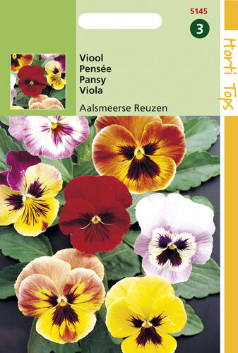 Hortitops Viool Aalsmeerse Reuzen - Bloemzaden