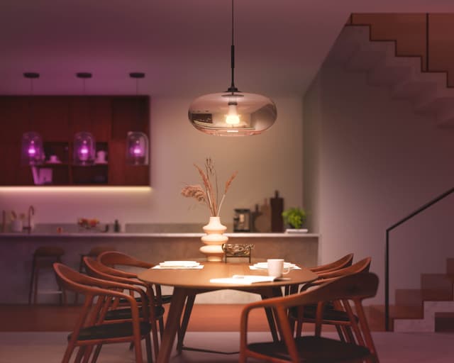 Philips Hue WCA 15W A67 E27