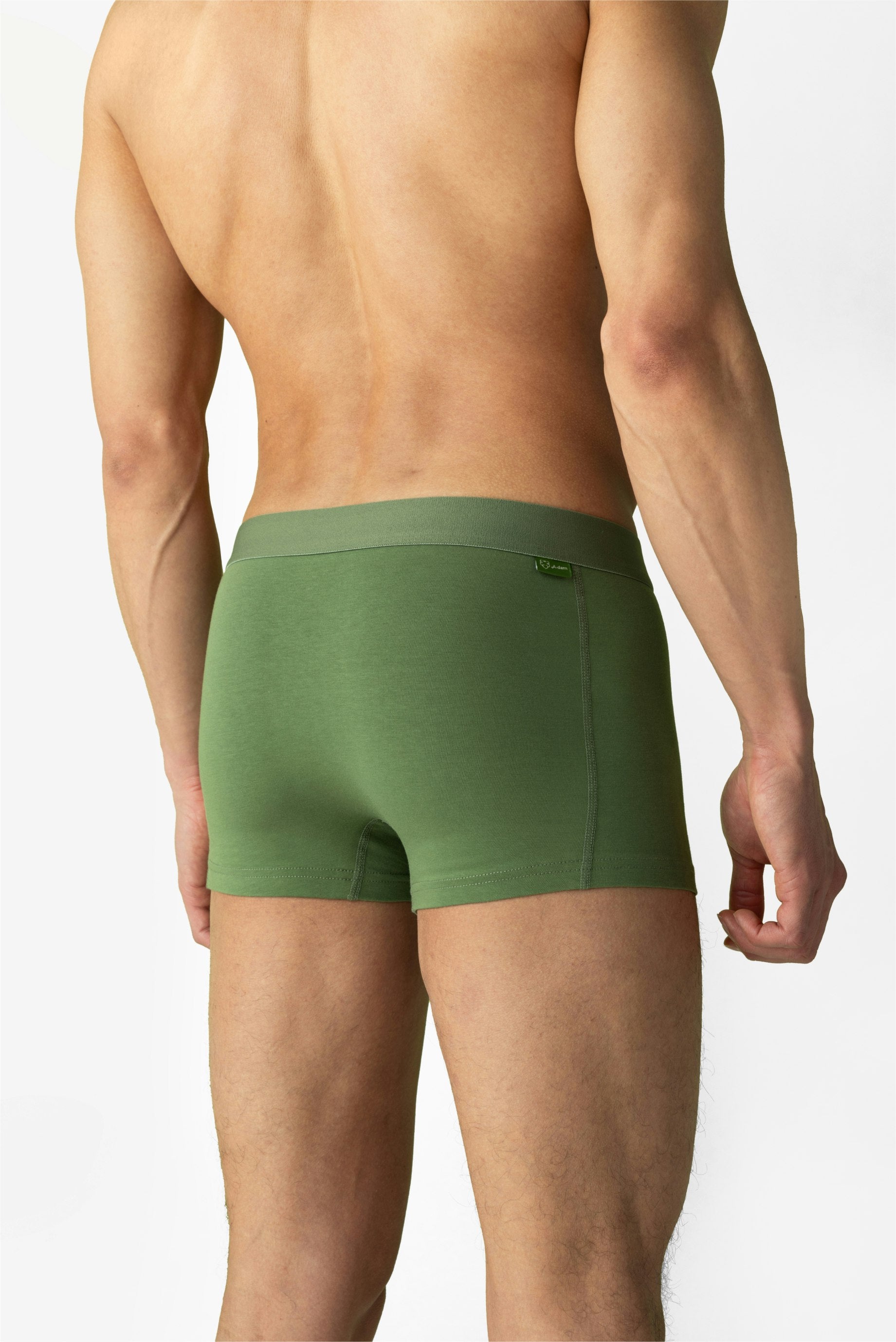 Solid Green Trunk