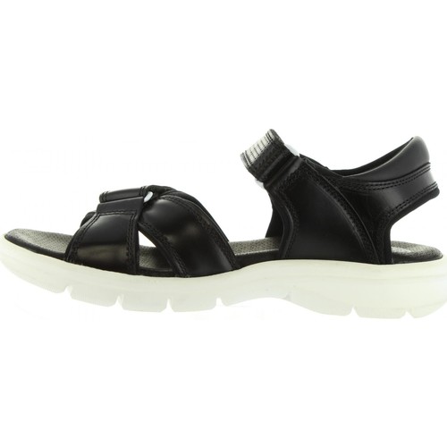 Panama Jack - SANDERS BW C1 Negro