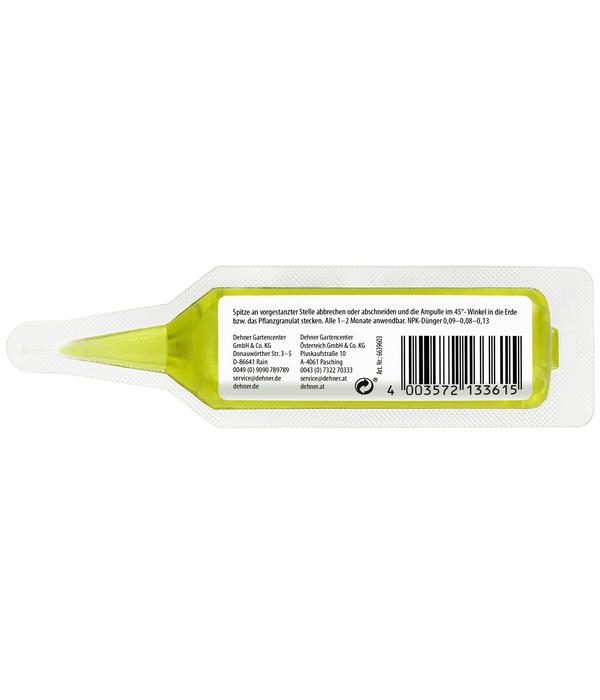 Dehner Vitalkur für Zitruspflanzen, flüssig,