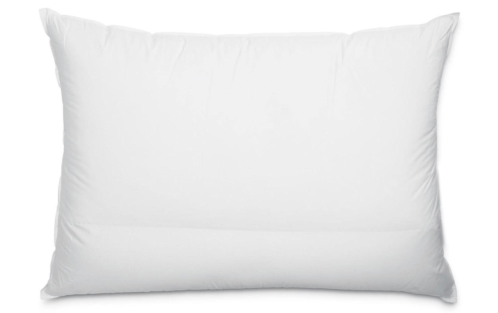 Nackenkissen Comfort Nature 50 x 70 cm<br>Kissen mit Hirsespreu und Daunen