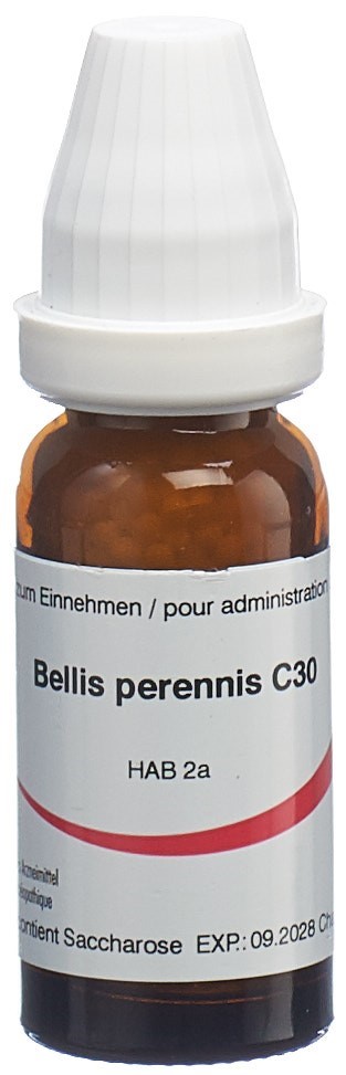Omida Bellis perennis Glob 30 C 14 g