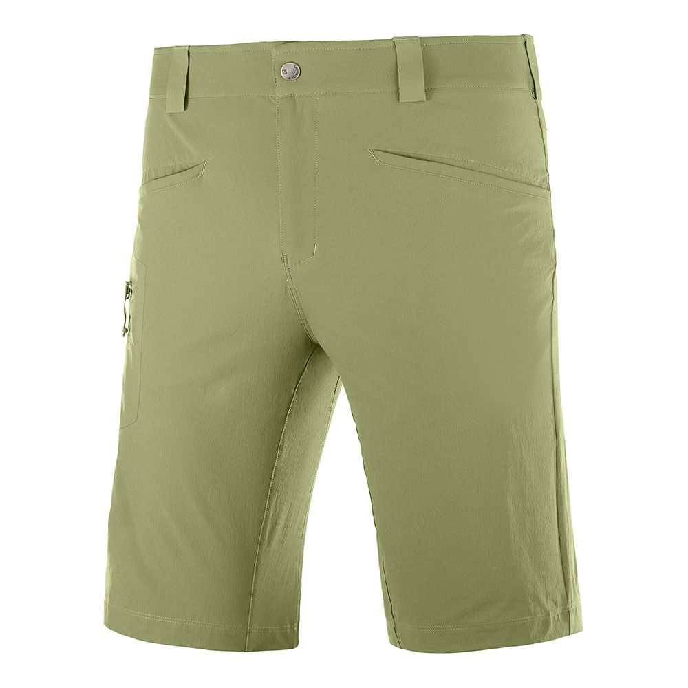 Salomon WAYFARER - Short Homme martini olive
