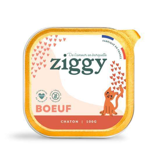 Pâtée pour chaton bœuf 100g