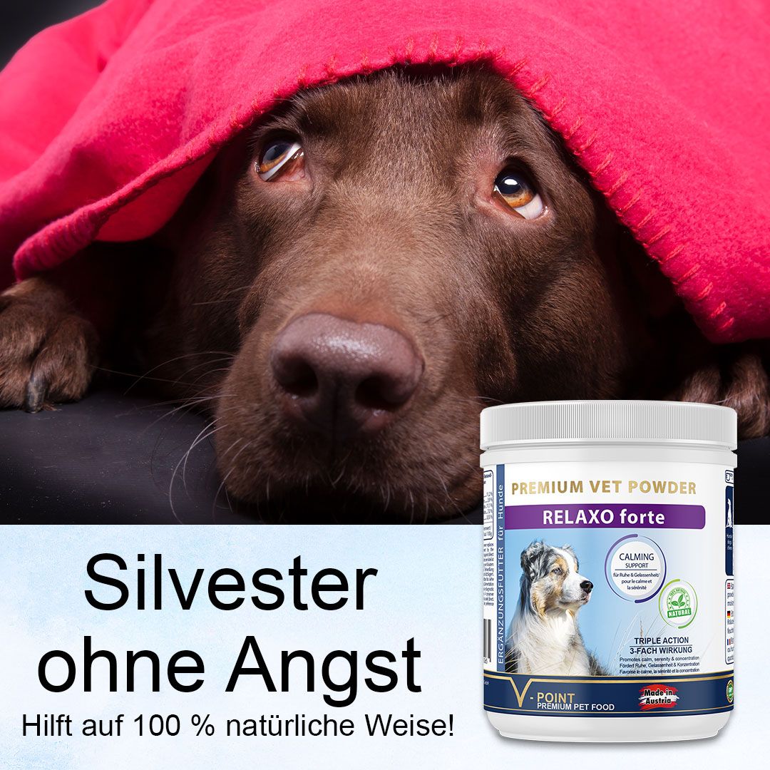 V-POINT® RELAXO forte – bei nervöser Unruhe - 100% pflanzlich