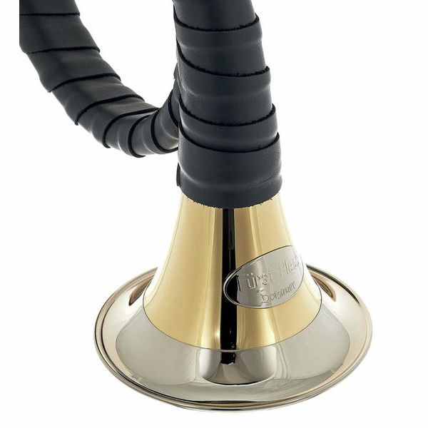 Dotzauer Fürst Pless in Bb 18815 L
