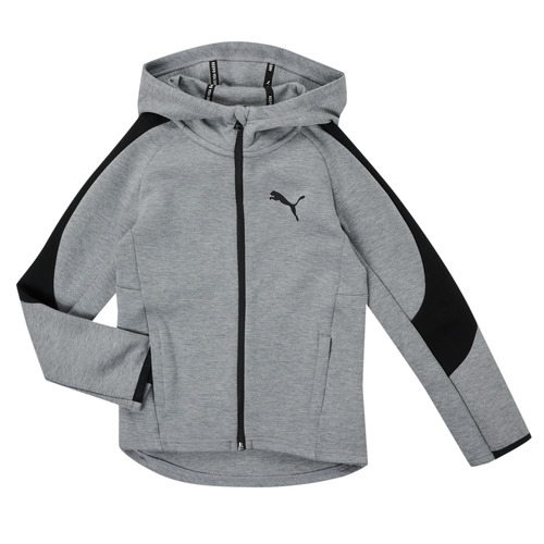 Puma - EVOSTRIPE CORE FZ HOODIE Gris