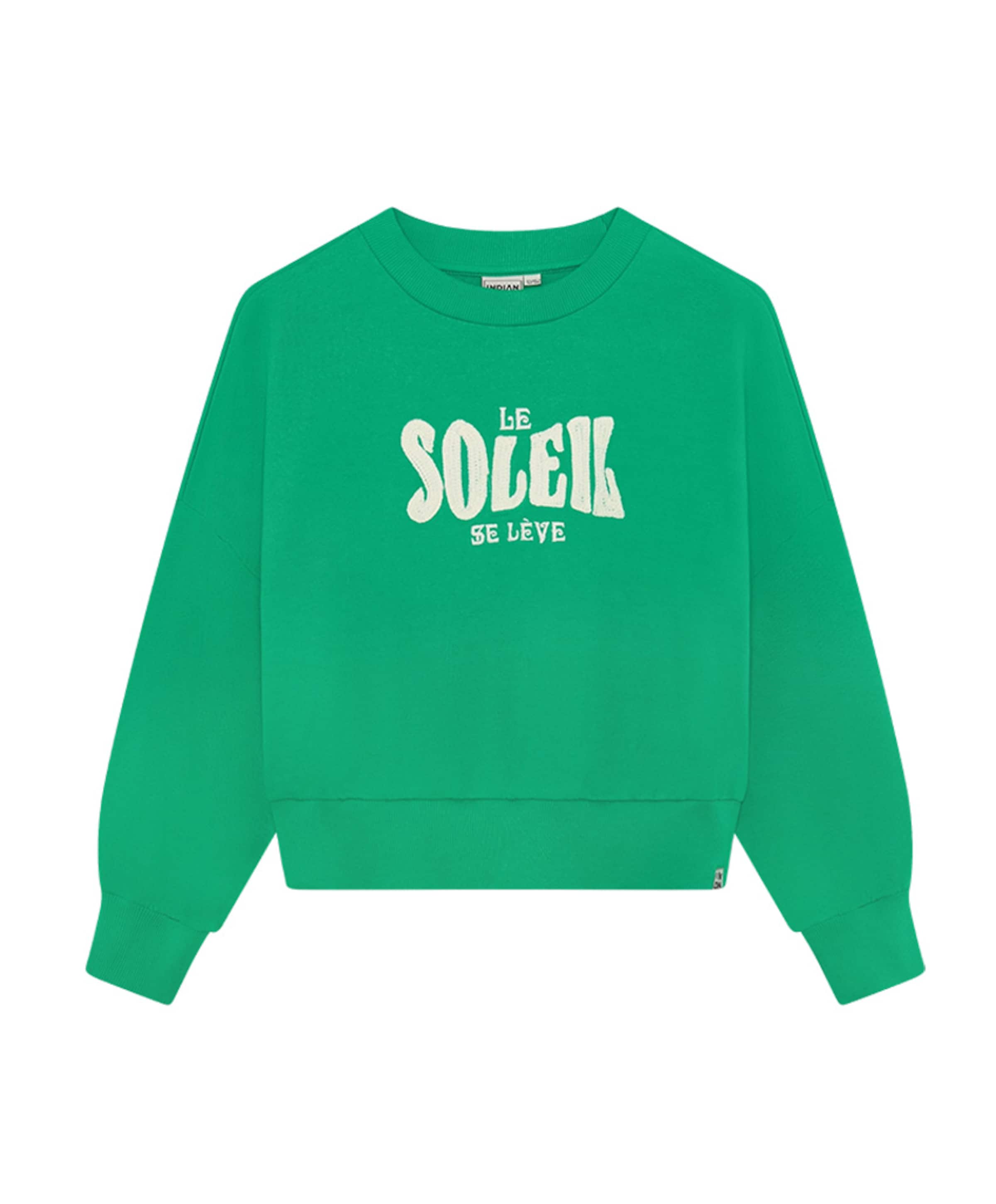 Indian Blue Jeans Meisjes sweater groen