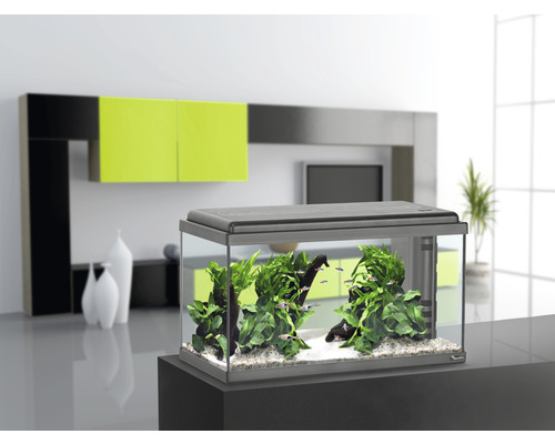 Aquatlantis Advance 60 aquarium met LED-verlichting, filter, verwarming (zonder kast), zwart, ca. 60 x 30 x 34 cm, ca. 54 L