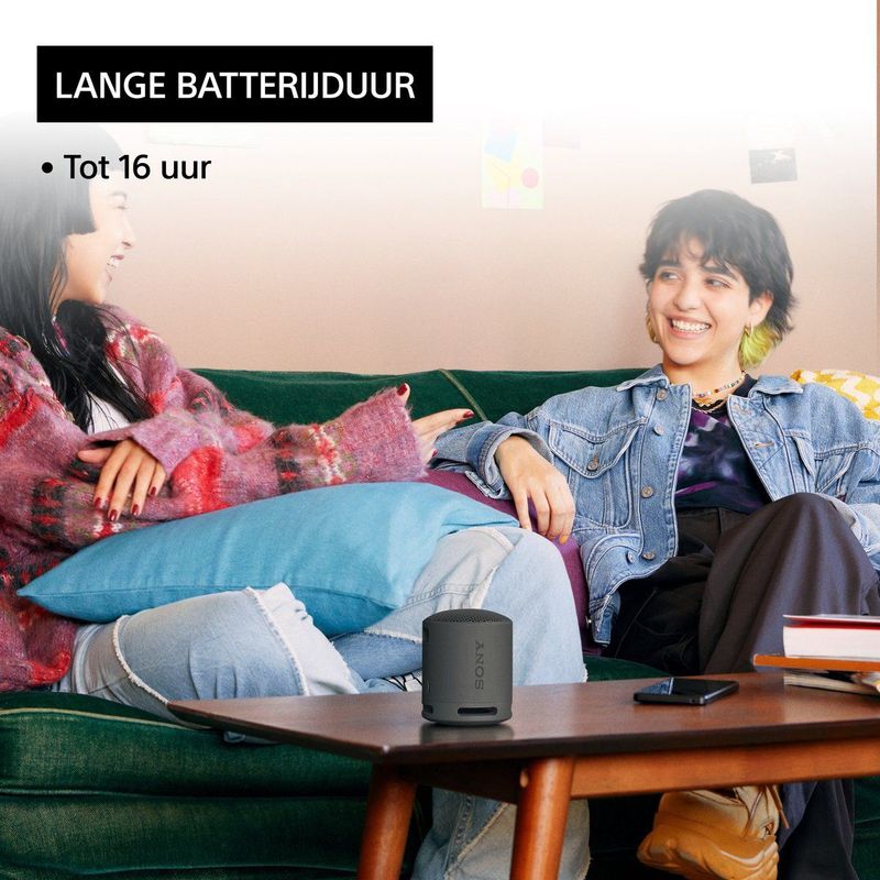 Sony - Srs-xb100 - Bluetooth-luidspreker - Blauw - Draagbaar - Duurzaam