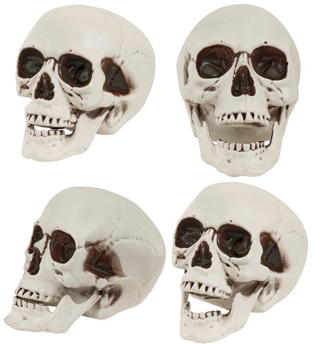 Halloween Schedel Met Beweegbare Kaak 28cm